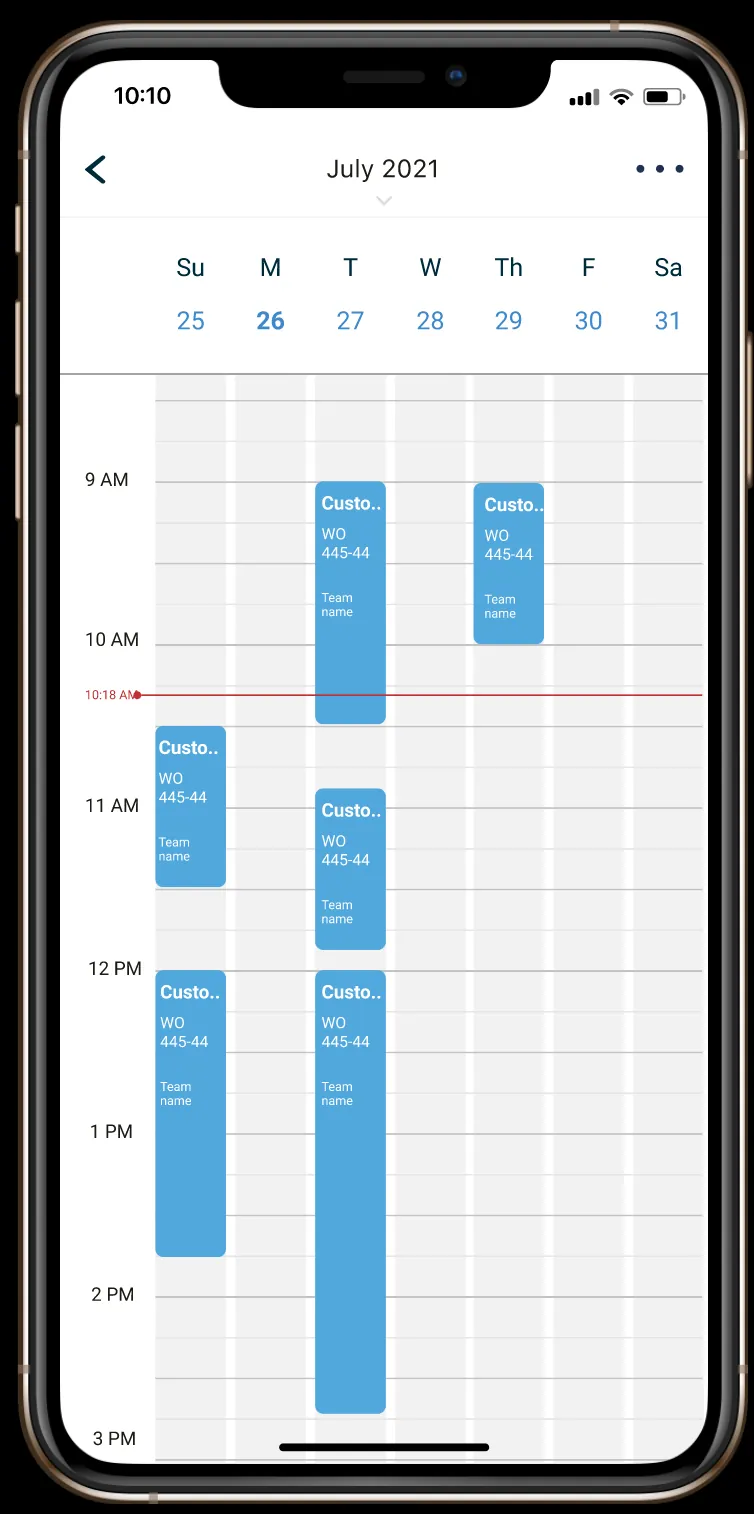 The calendar, week view.